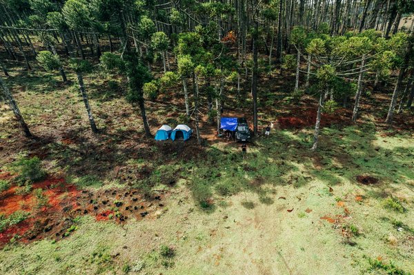 Hoe zorg je ervoor dat je kampeerplek goed beschermd is tegen insecten?